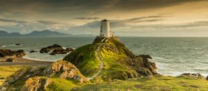 final cta 1024x449.jpg